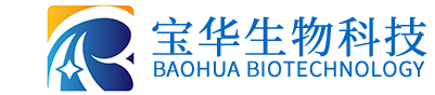 爱游戏体育网页版登录入口-爱游戏(中国)
